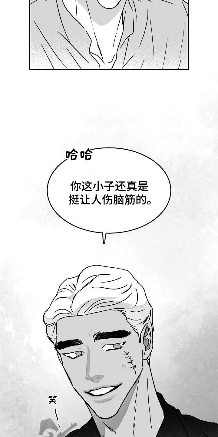 16.jpg