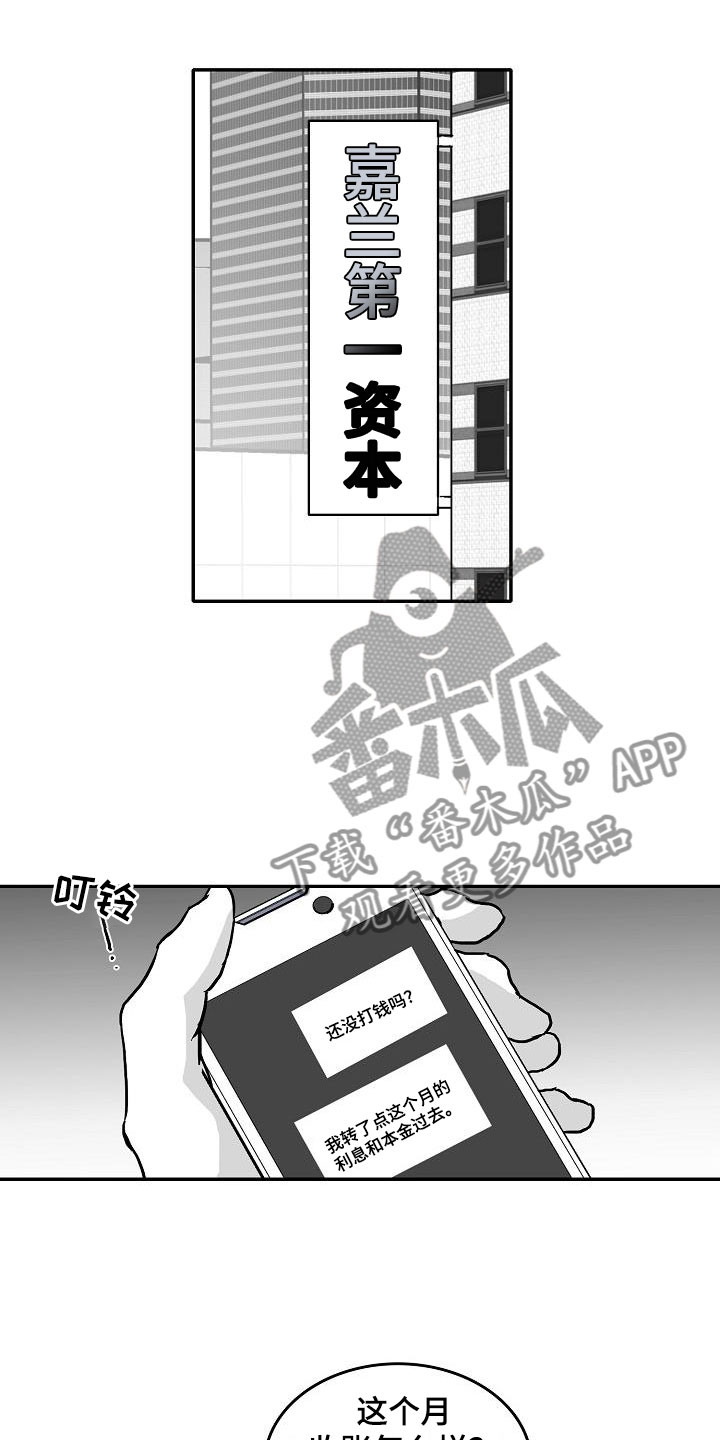 16.jpg