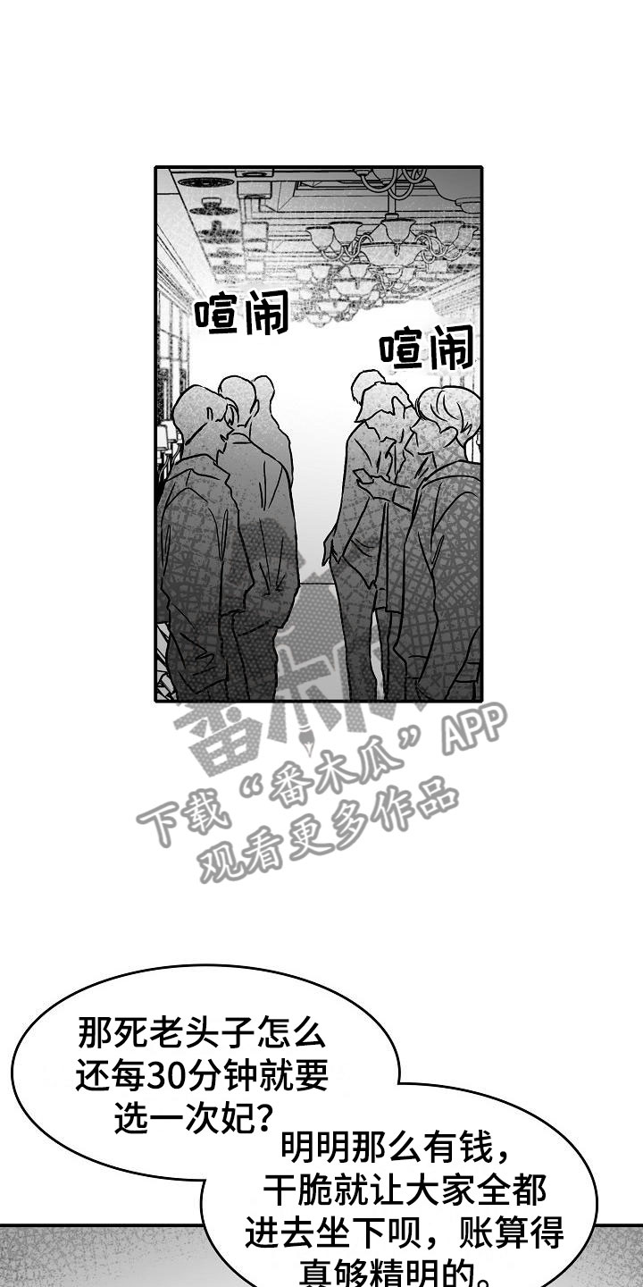 19.jpg