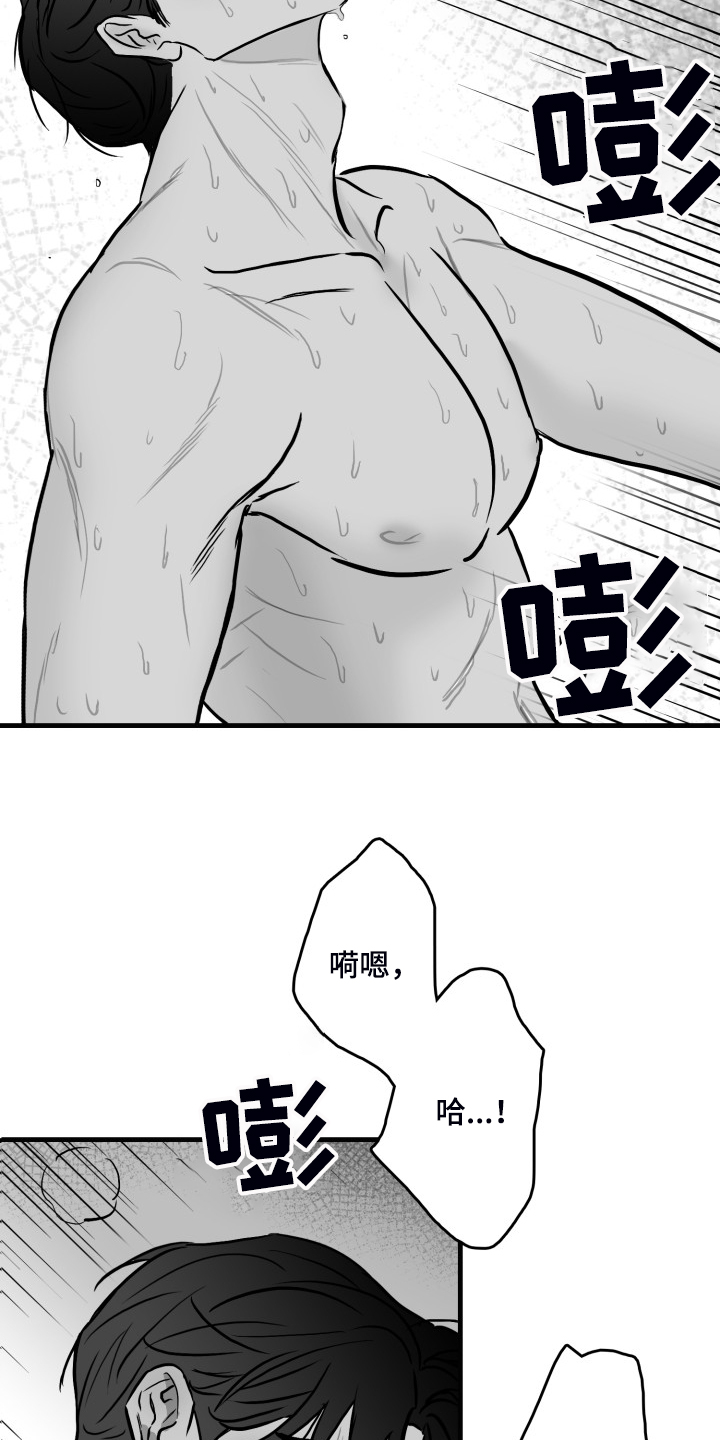 20.jpg