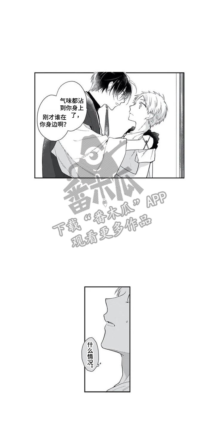 6.jpg