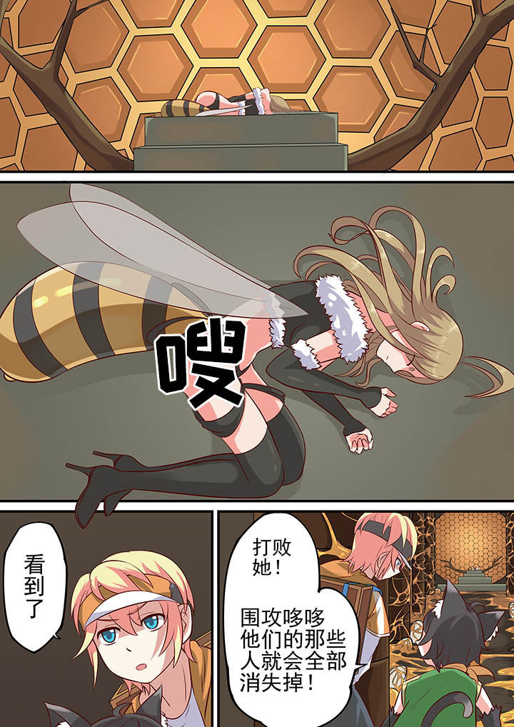 11.jpg