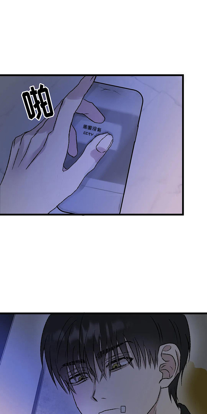 13.jpg