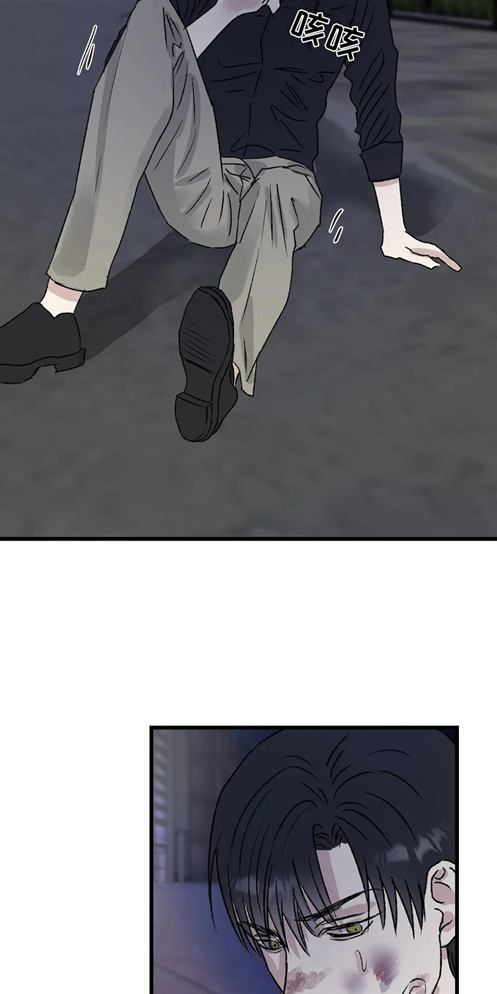 16.jpg