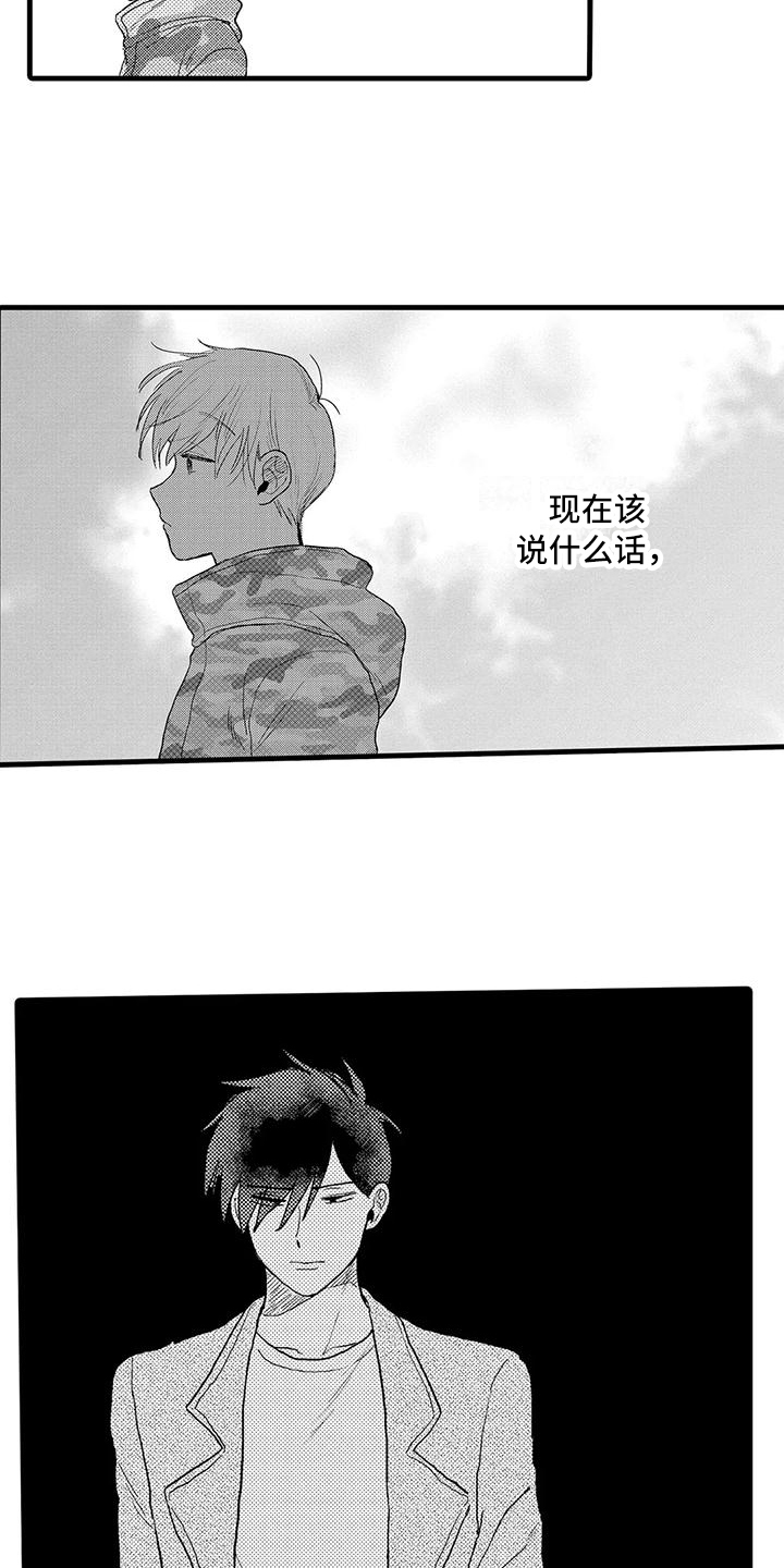 15.jpg