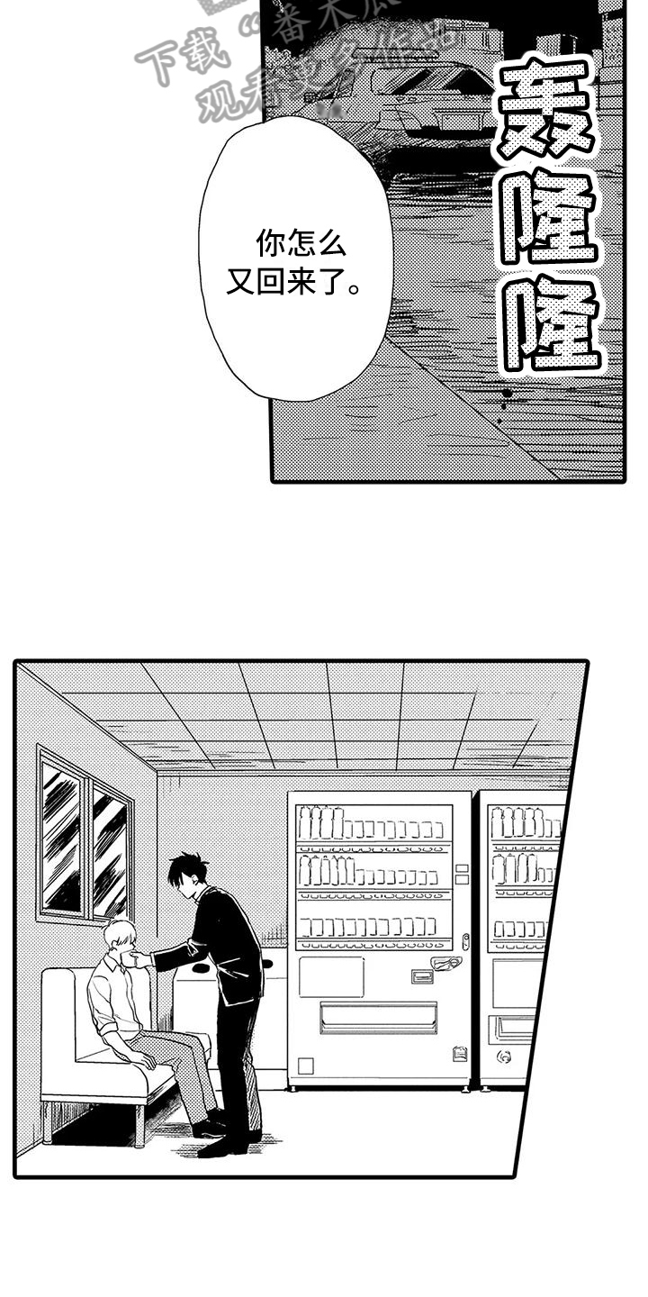 14.jpg
