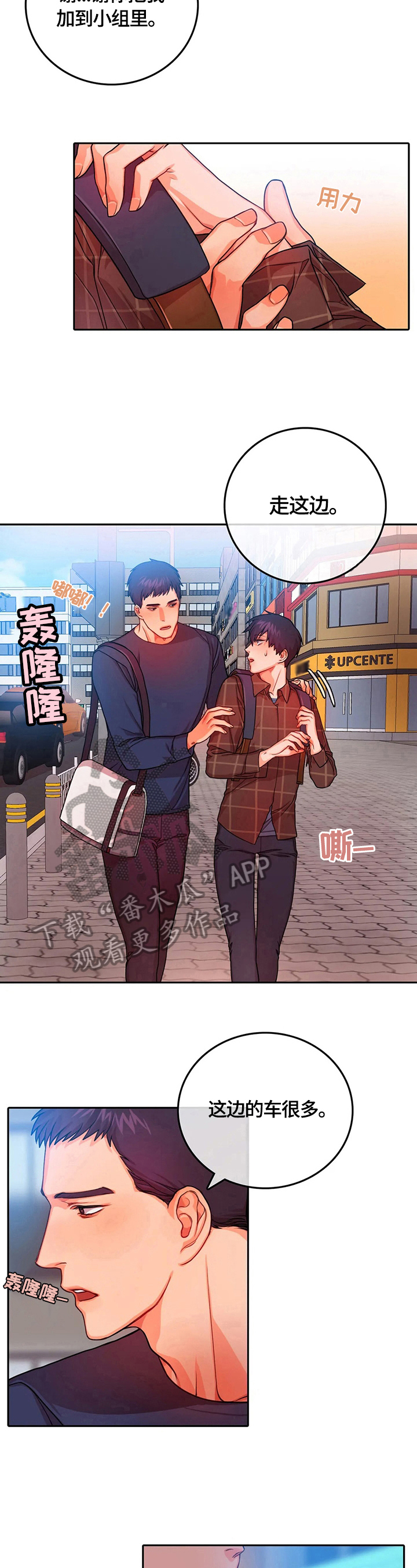 5.jpg