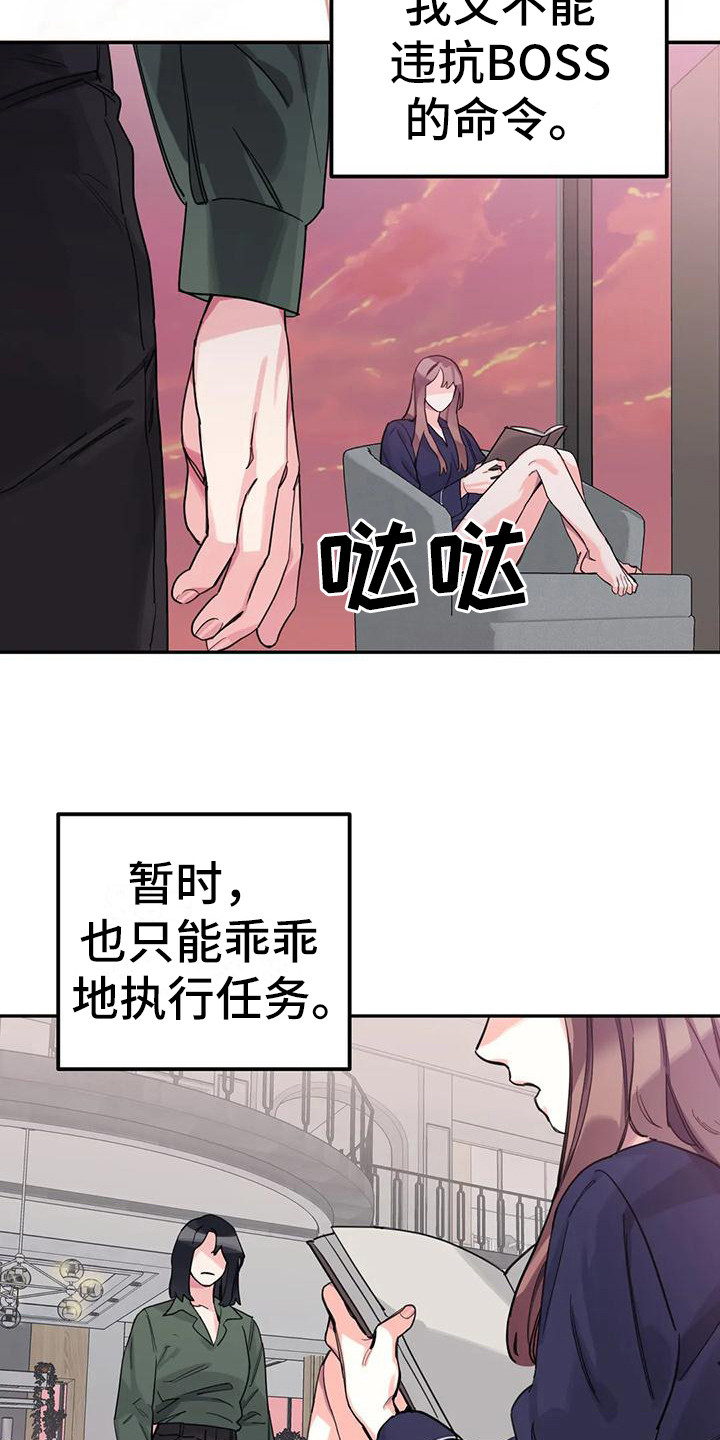 19.jpg