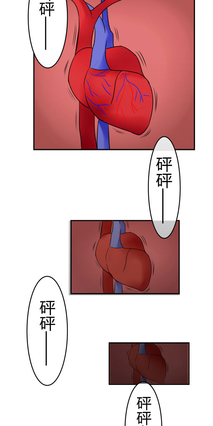 29.jpg
