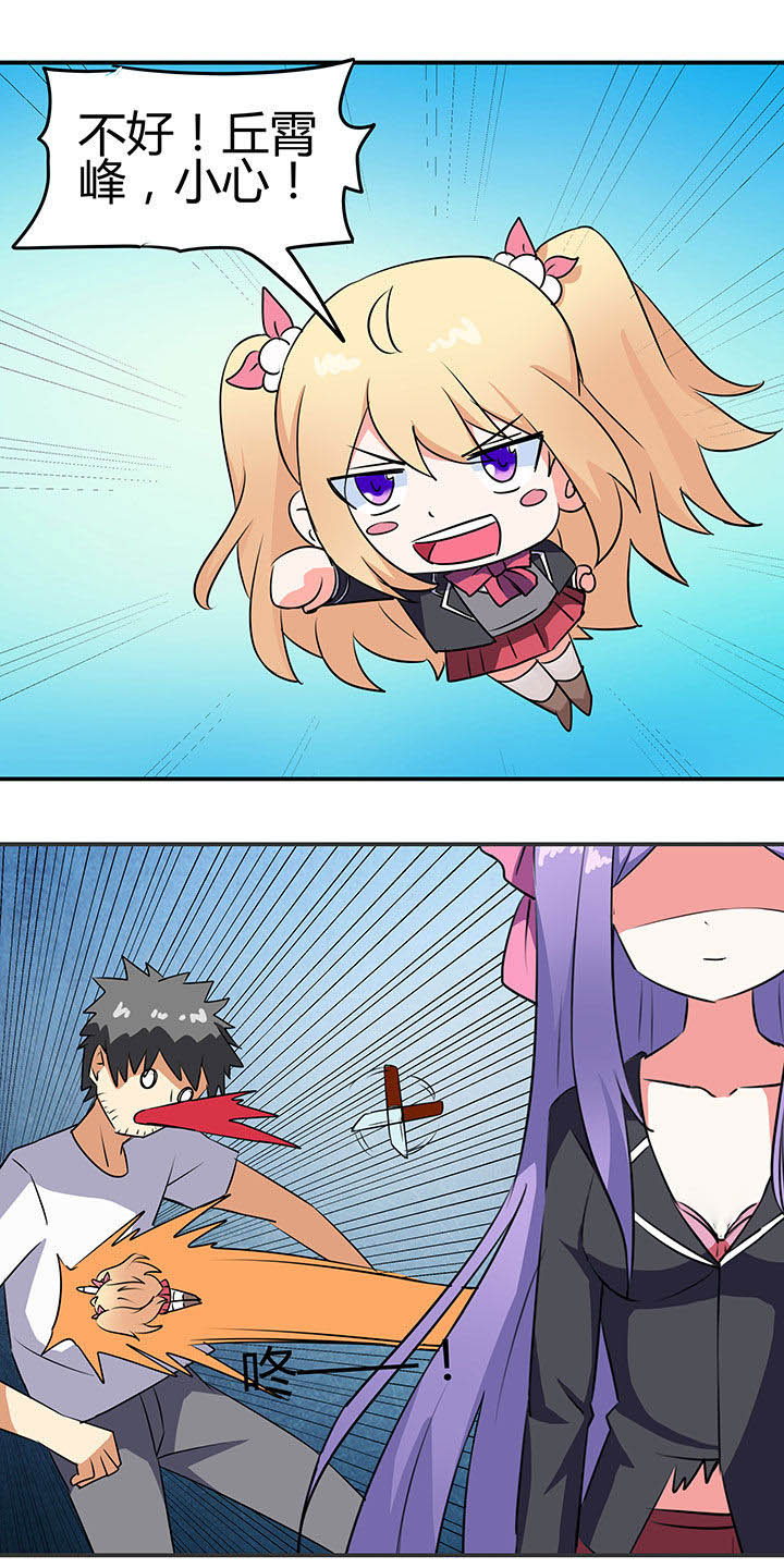 11.jpg