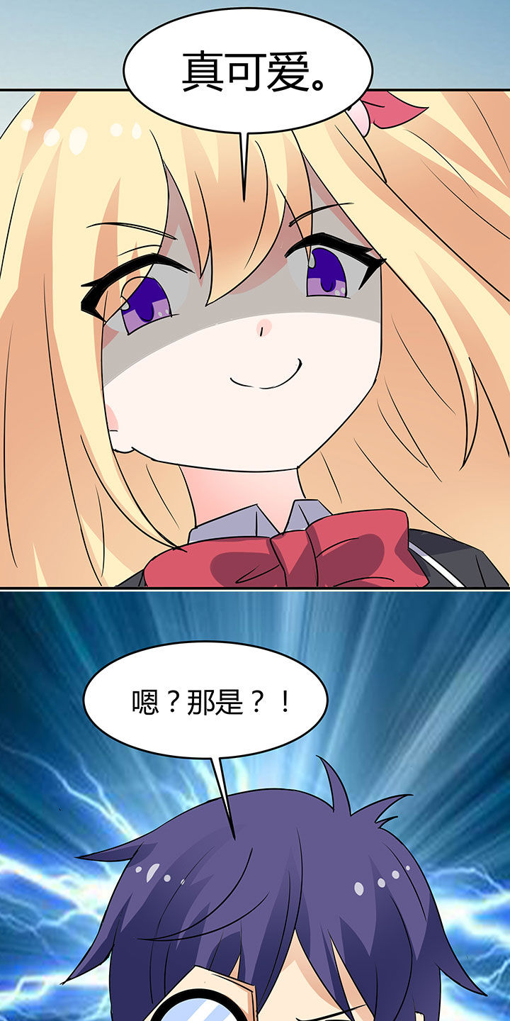 15.jpg