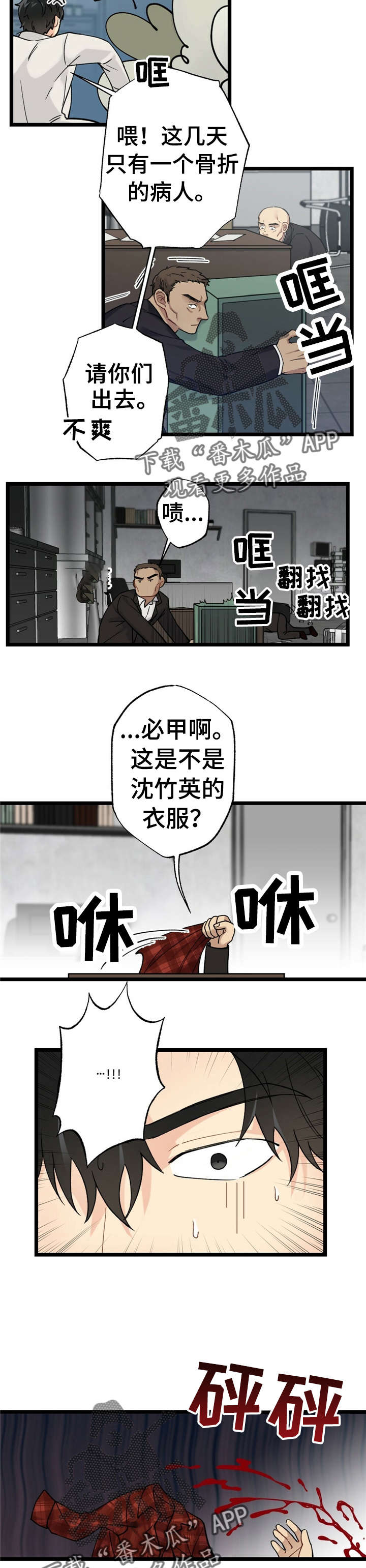 11.jpg