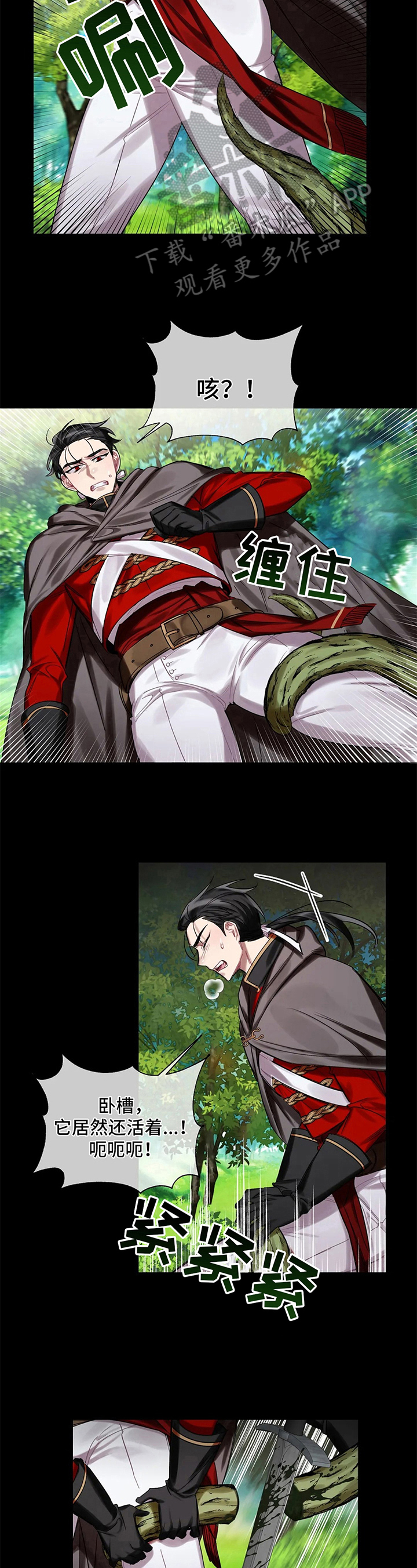 6.jpg