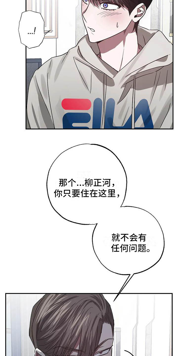 15.jpg