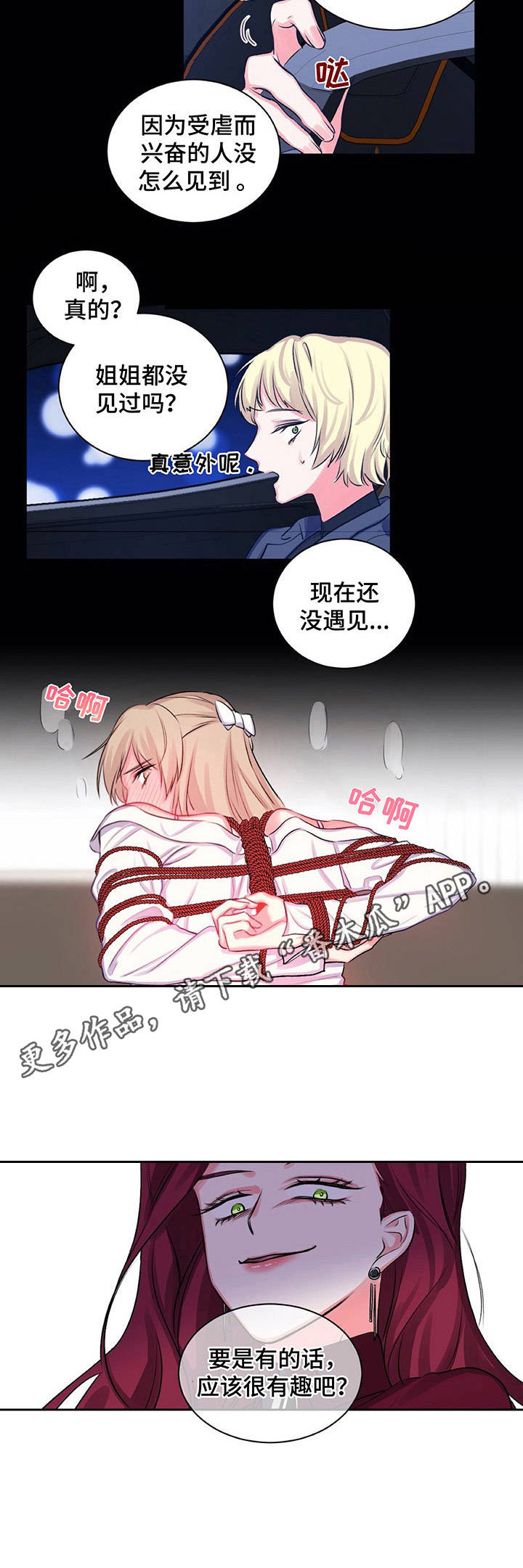 12.jpg