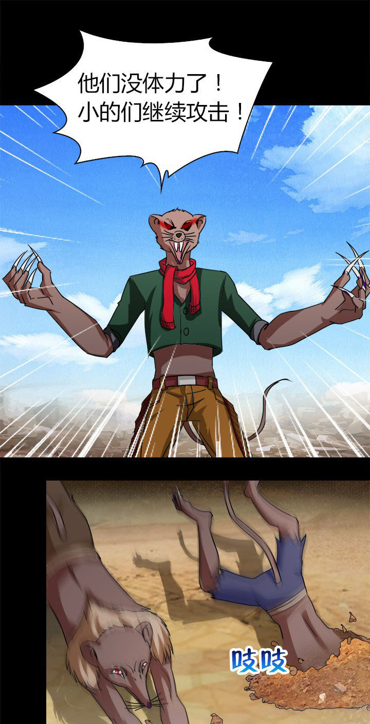 12.jpg