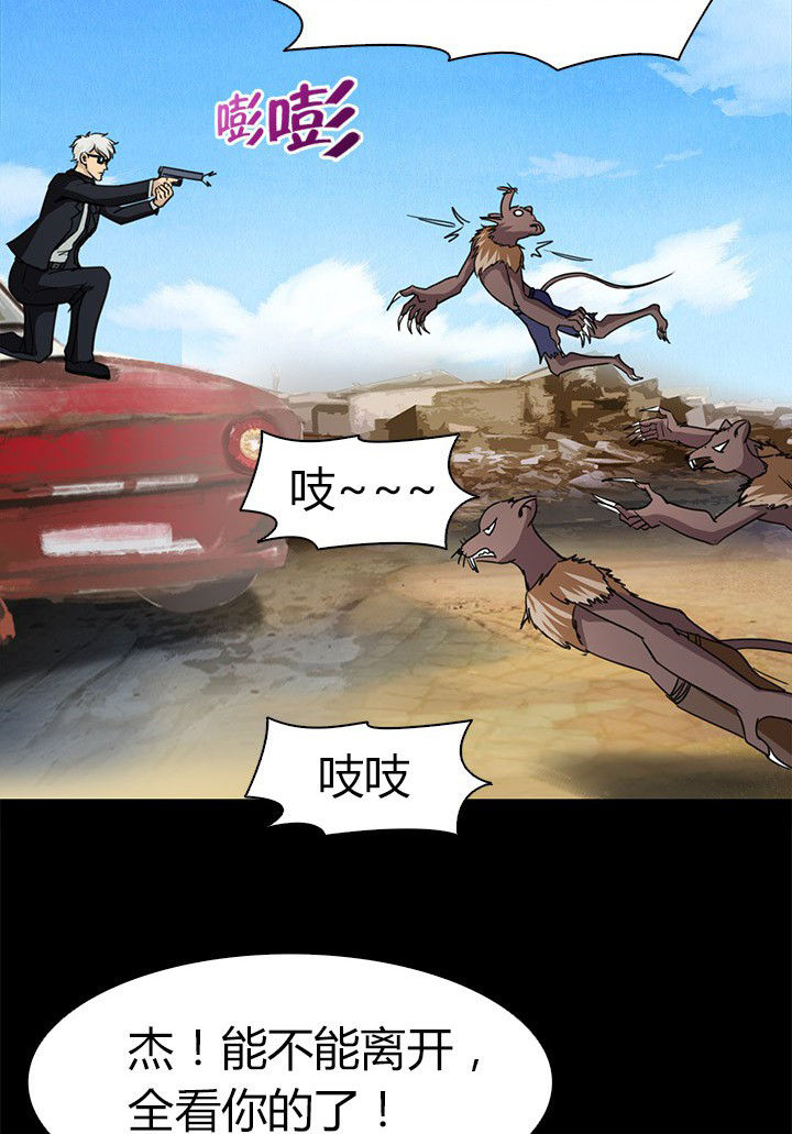 20.jpg