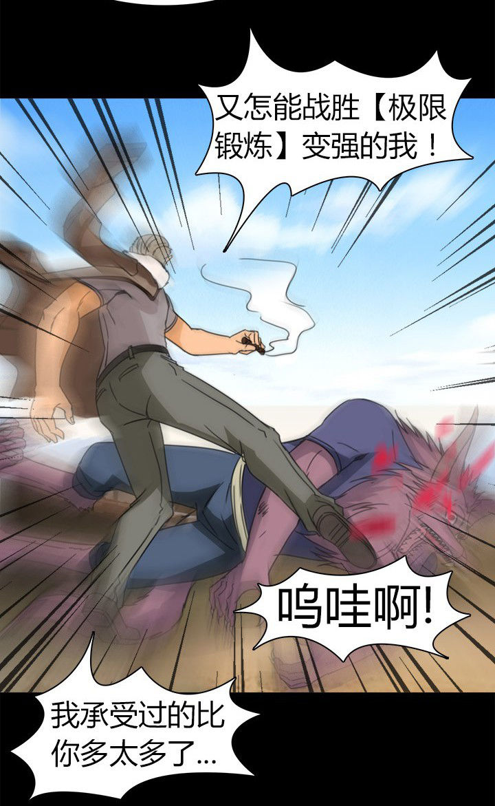 15.jpg