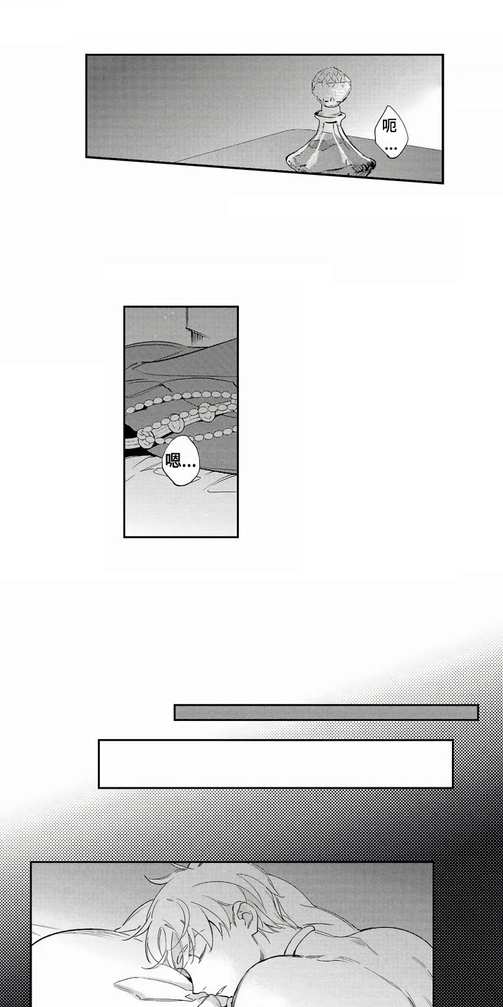 11.jpg