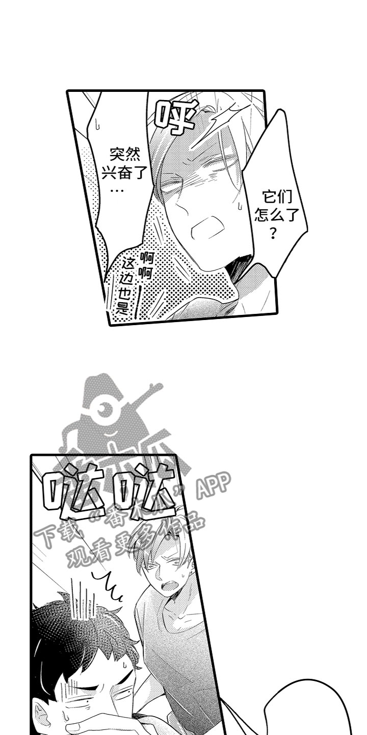 14.jpg