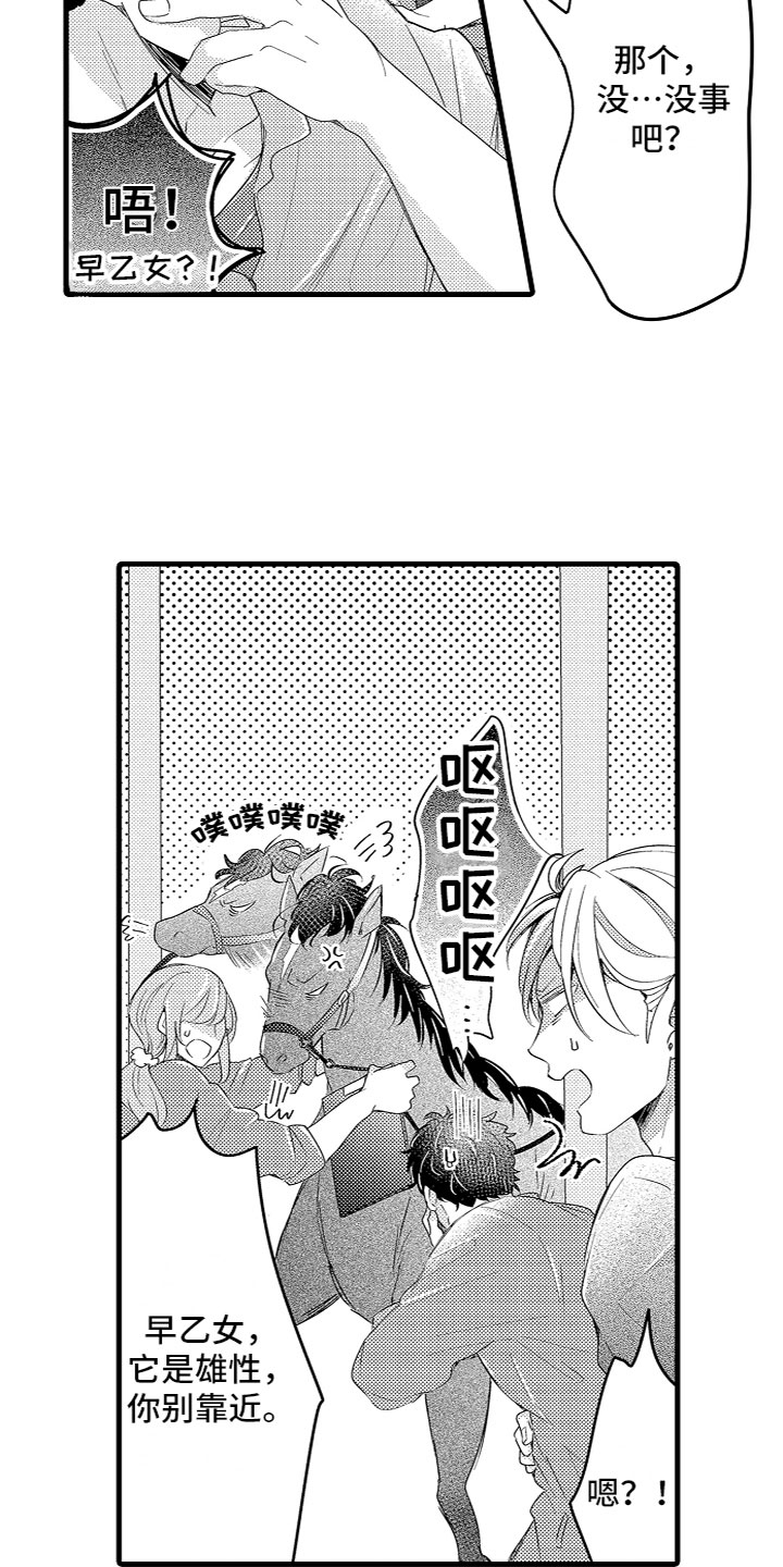 15.jpg