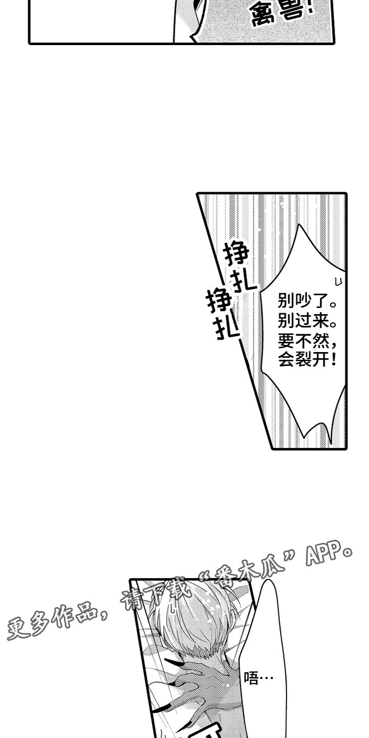 16.jpg