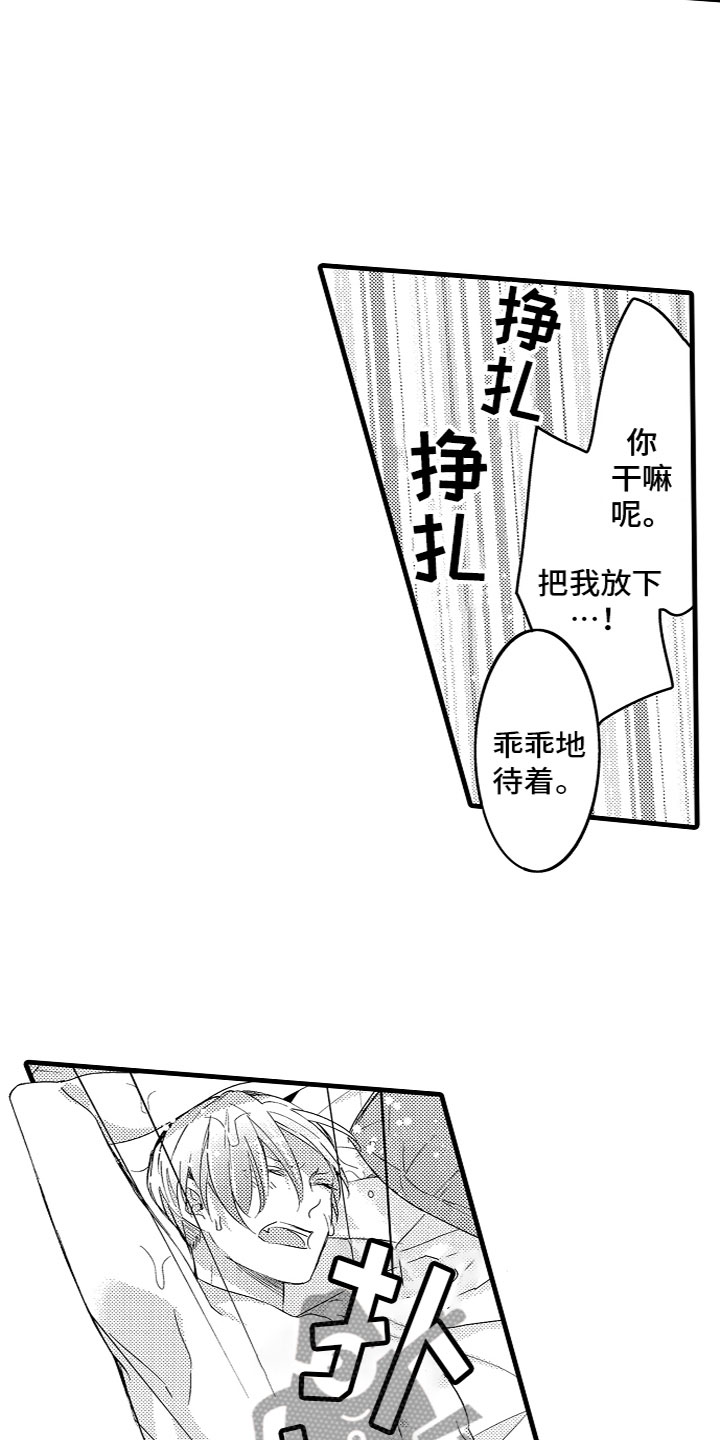 13.jpg