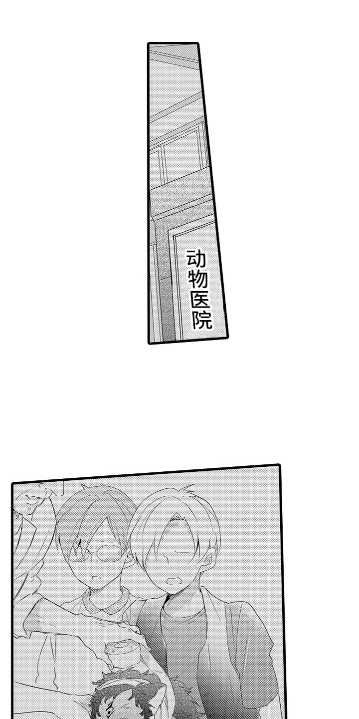 14.jpg