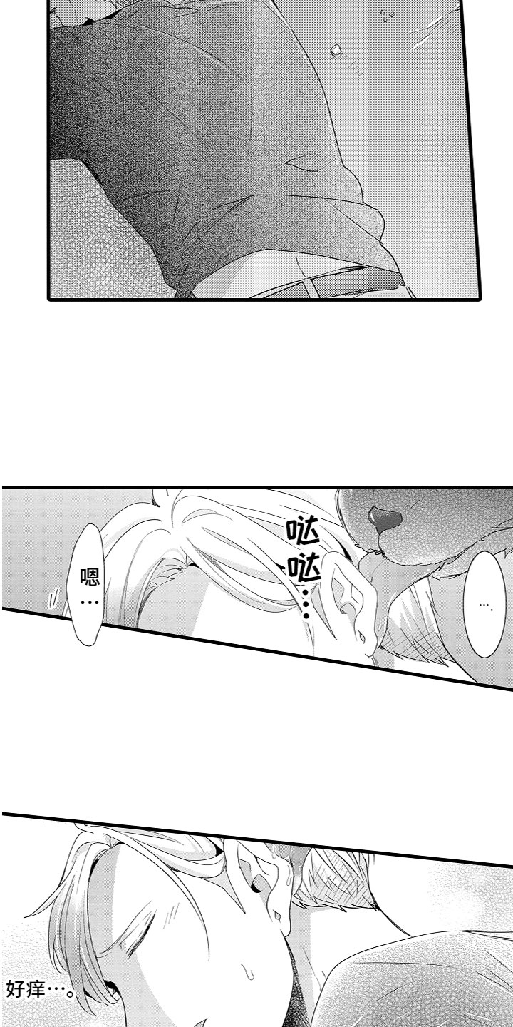 11.jpg