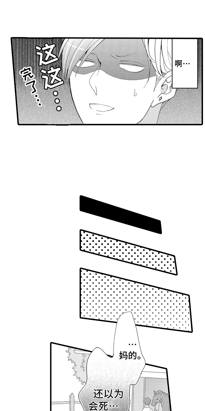 15.jpg