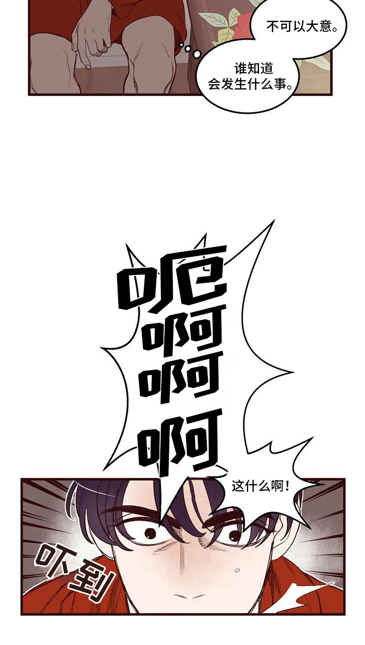 17.jpg