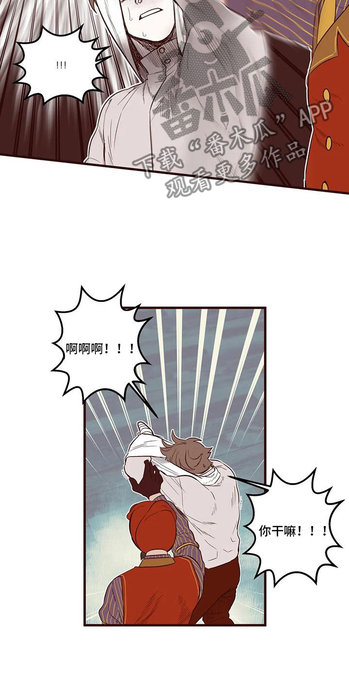 12.jpg