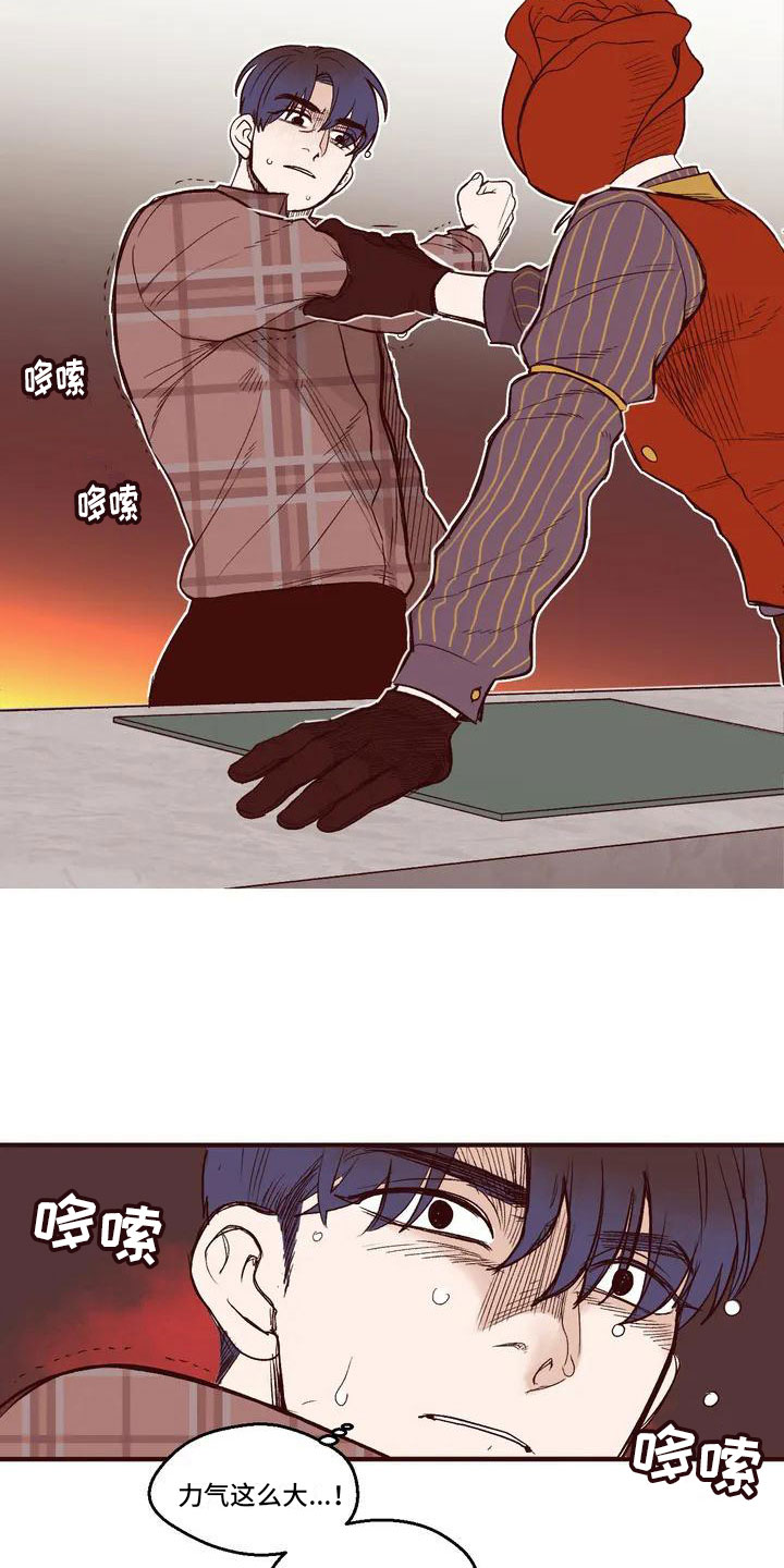 12.jpg