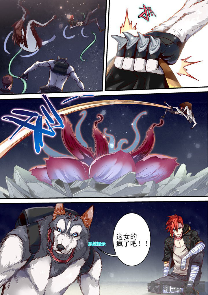 2.jpg