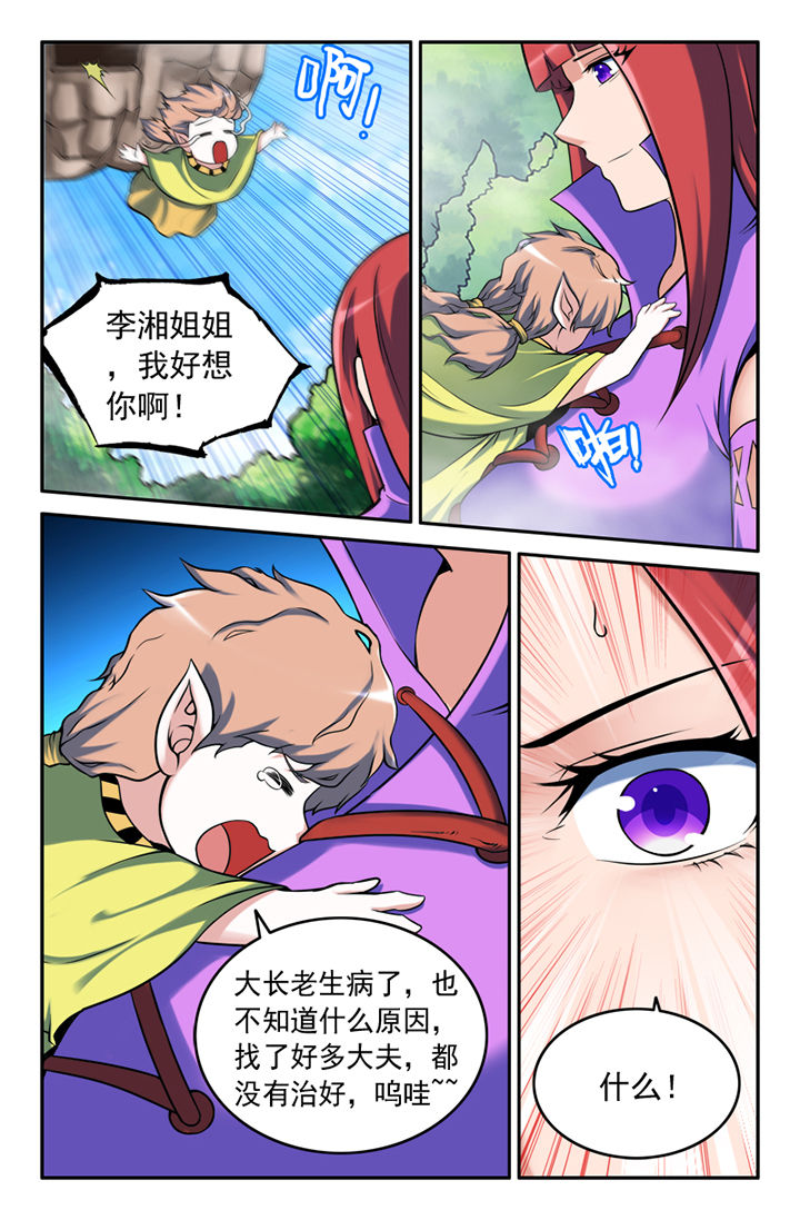 5.jpg