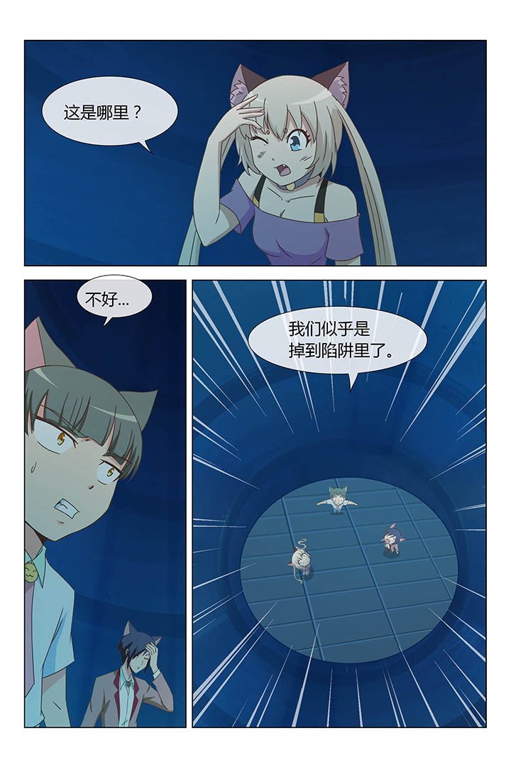5.jpg