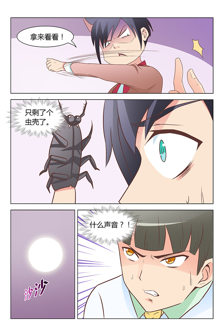 7.jpg