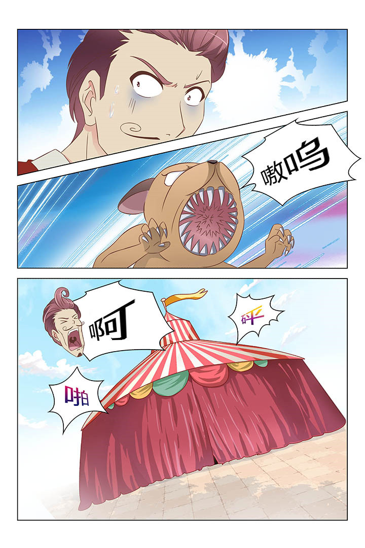 8.jpg