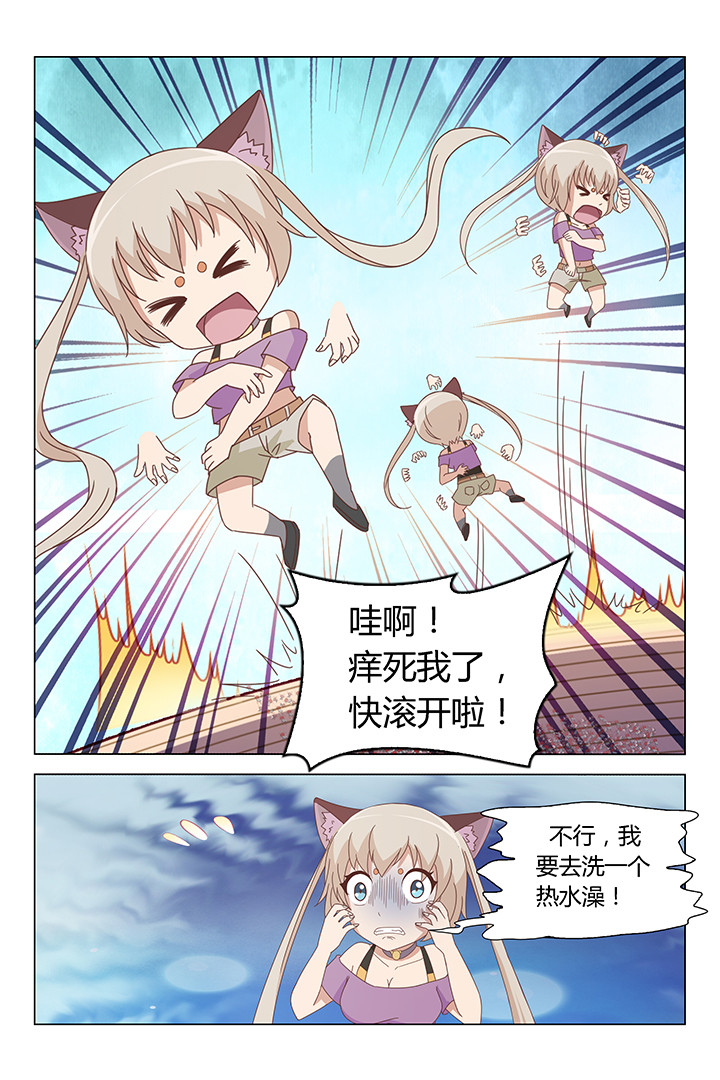 5.jpg