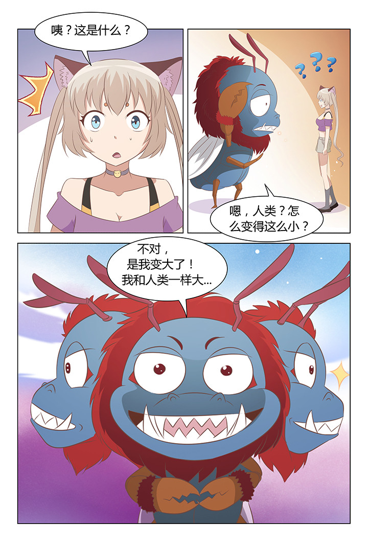 4.jpg