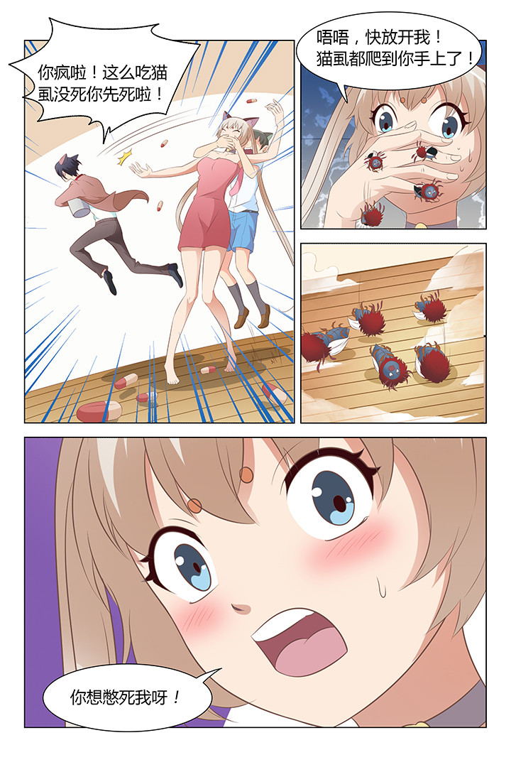 8.jpg