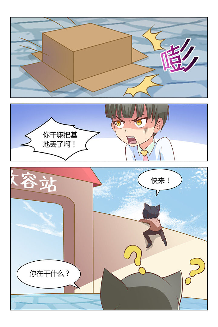 6.jpg