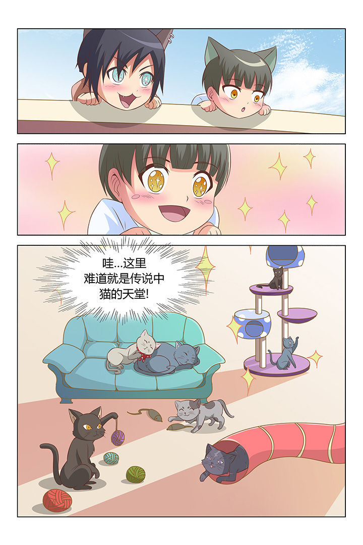 7.jpg