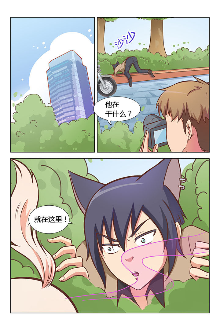 4.jpg