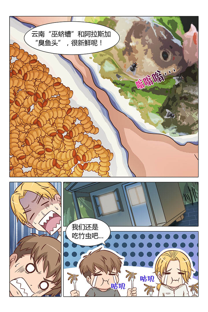 4.jpg