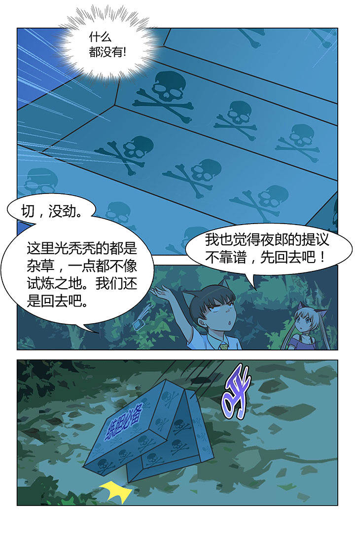 6.jpg