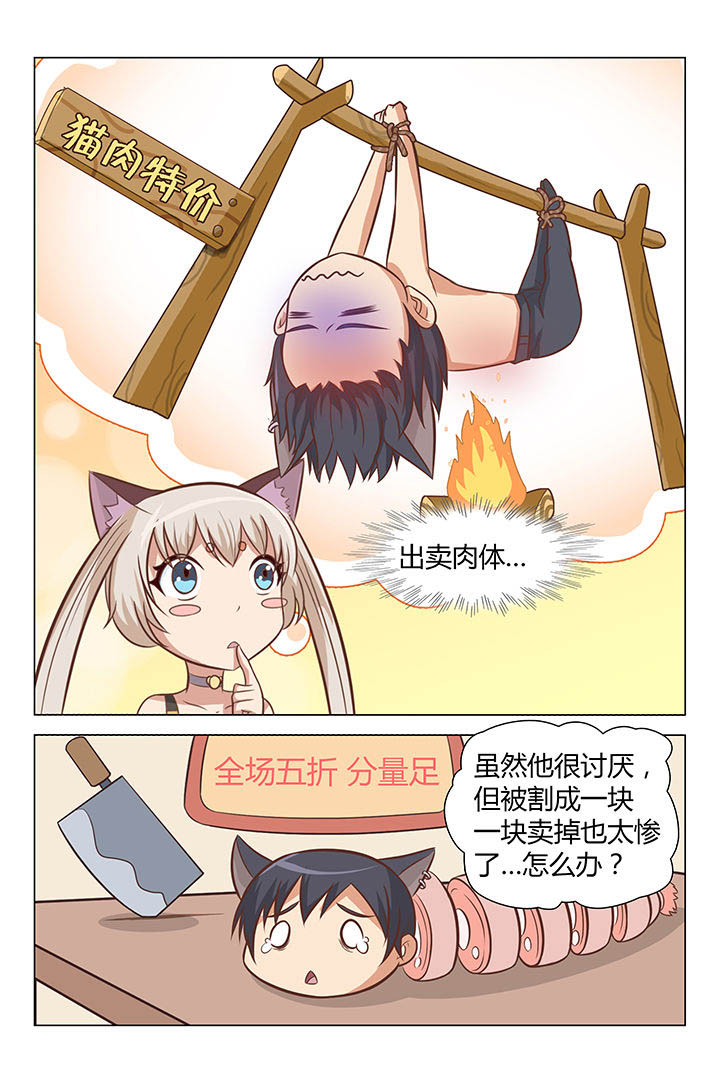 8.jpg