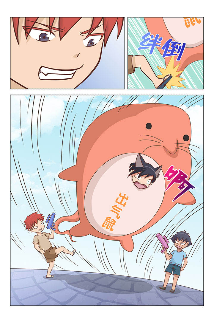 5.jpg