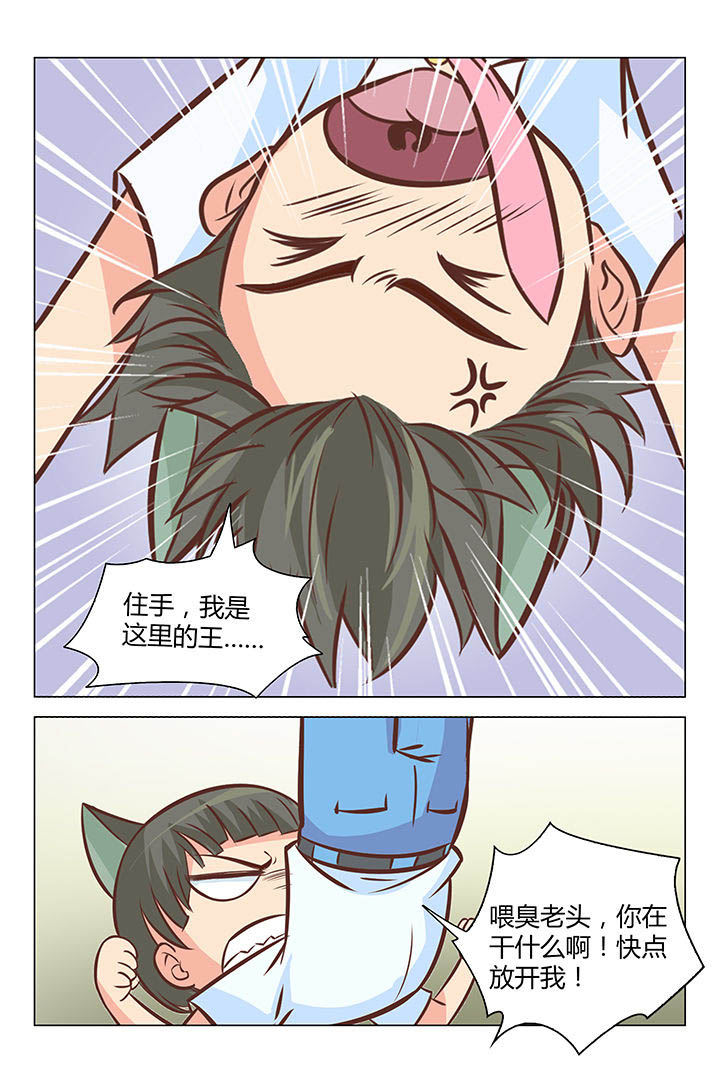 8.jpg