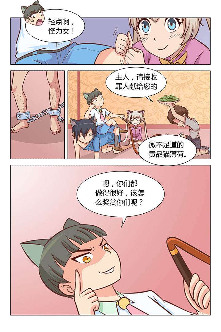 6.jpg